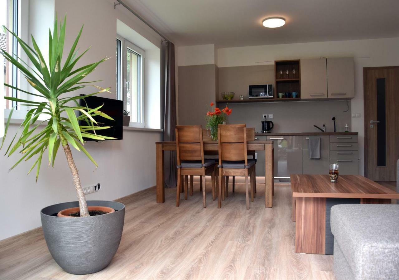 Elemir Apartment Besenova Bagian luar foto