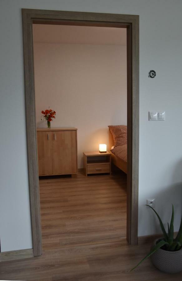 Elemir Apartment Besenova Bagian luar foto