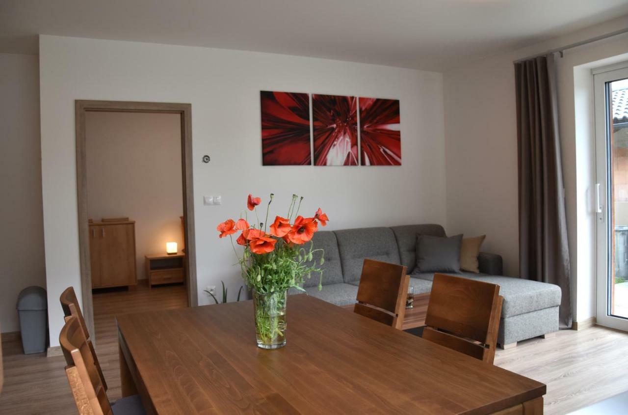 Elemir Apartment Besenova Bagian luar foto