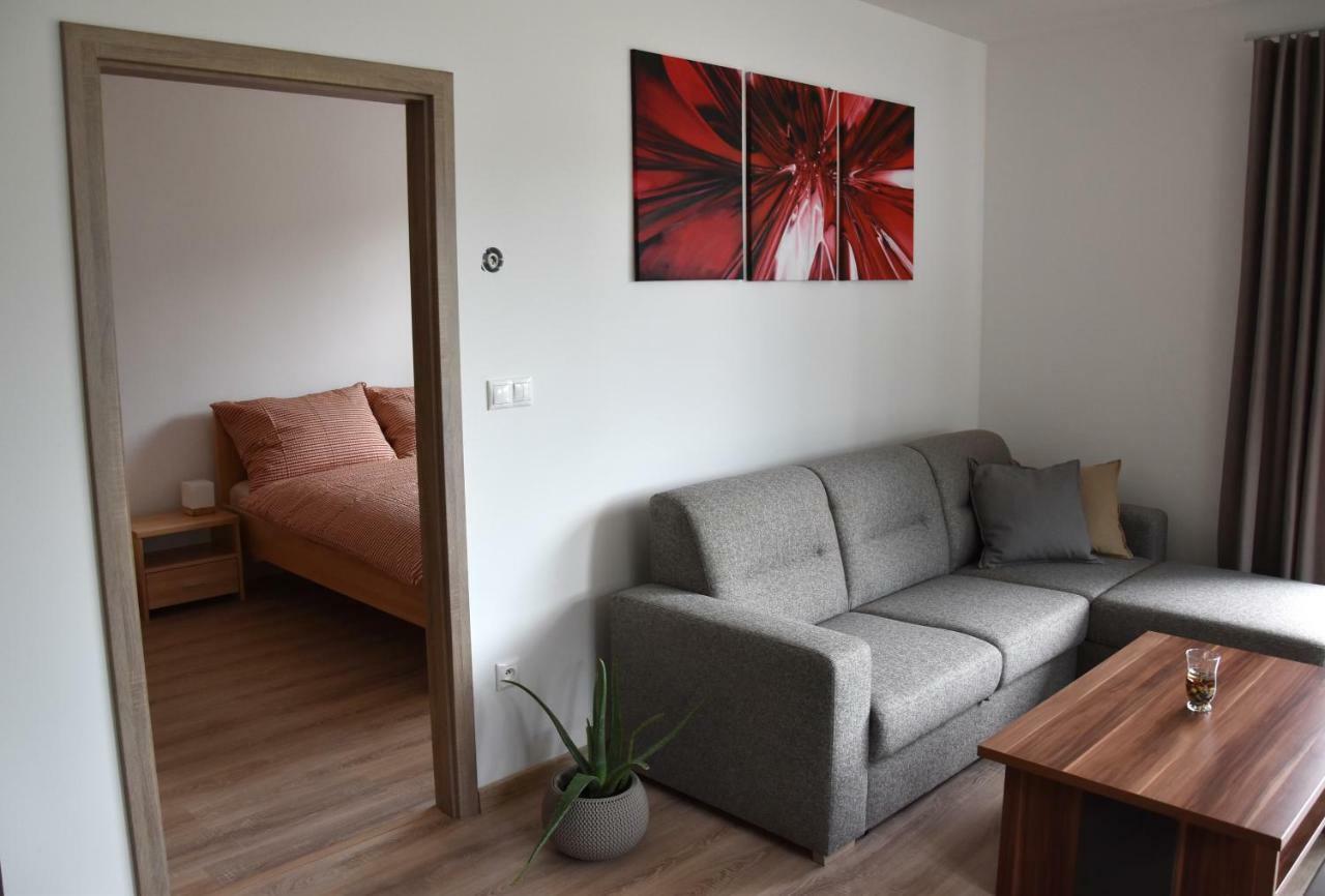 Elemir Apartment Besenova Bagian luar foto